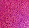 24 Pack: Prismatic Glitter Paper by Recollections™, 12" x 12"